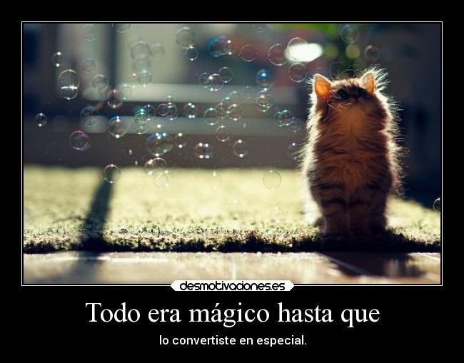 Todo era mágico hasta que - lo convertiste en especial.