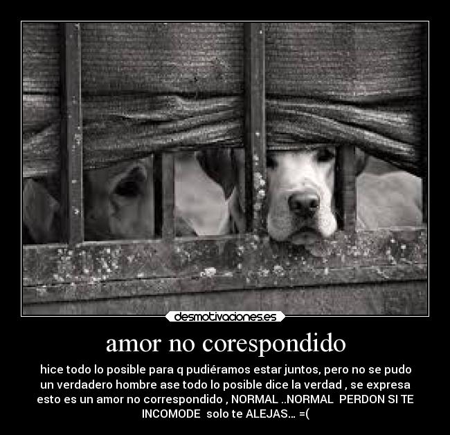 amor no corespondido - hice todo lo posible para q pudiéramos estar juntos, pero no se pudo
un verdadero hombre ase todo lo posible dice la verdad , se expresa
esto es un amor no correspondido , NORMAL ..NORMAL PERDON SI TE
INCOMODE solo te ALEJAS… =(