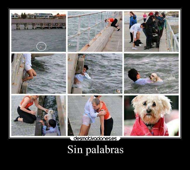 Sin palabras - 