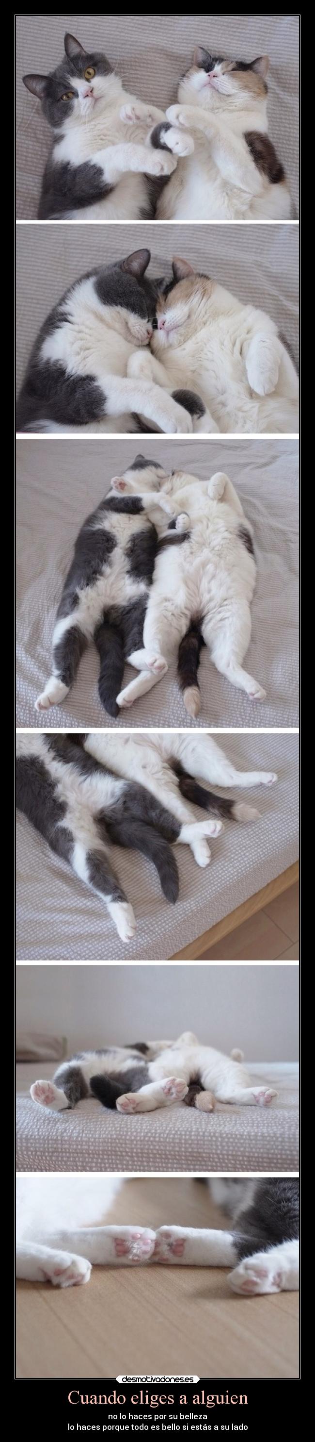 Cuando eliges a alguien -