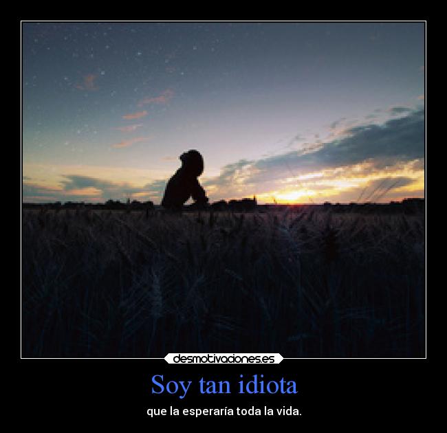 Soy tan idiota - 