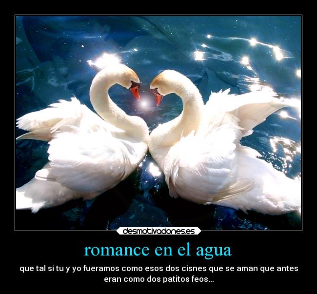 carteles amor desmotivaciones