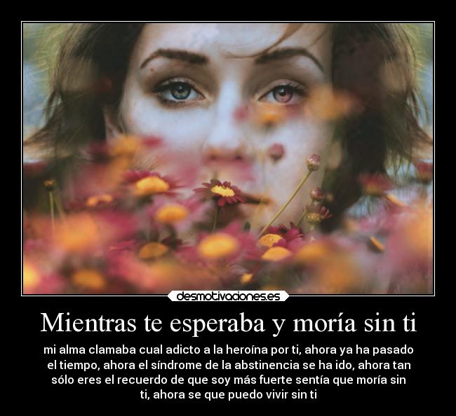 Mientras te esperaba y moría sin ti - mi alma clamaba cual adicto a la heroína por ti, ahora ya ha pasado
el tiempo, ahora el síndrome de la abstinencia se ha ido, ahora tan
sólo eres el recuerdo de que soy más fuerte sentía que moría sin
ti, ahora se que puedo vivir sin ti