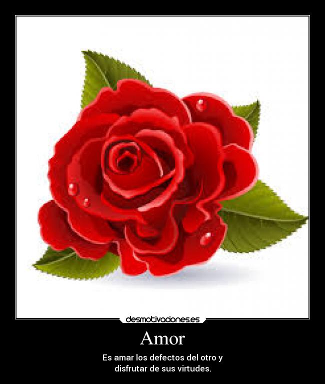Amor - Es amar los defectos del otro y
disfrutar de sus virtudes.