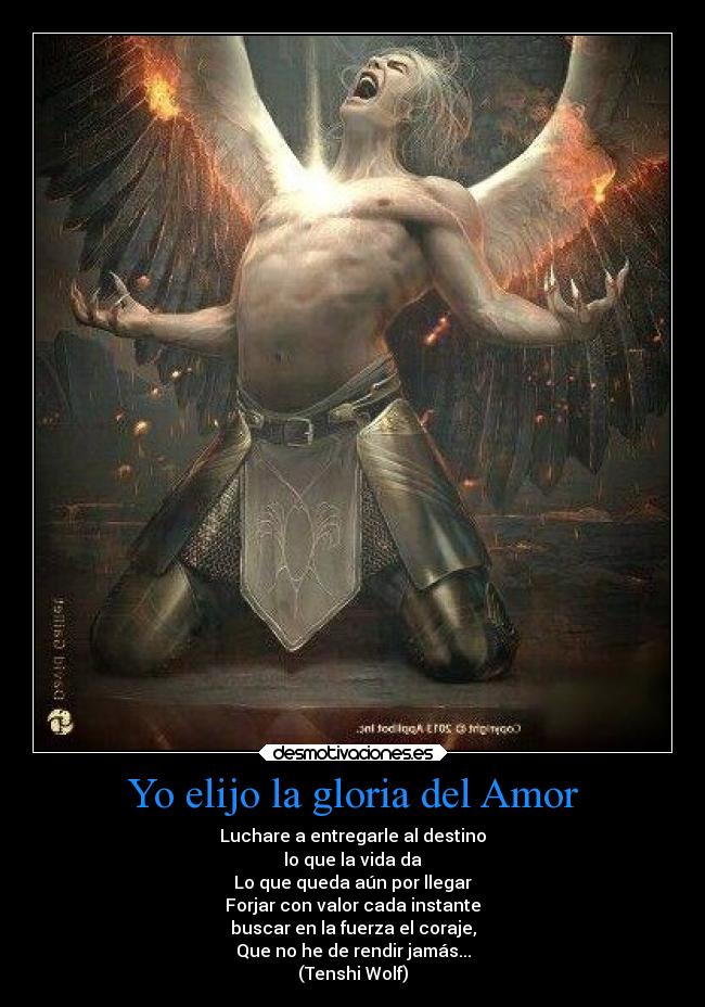 Yo elijo la gloria del Amor -