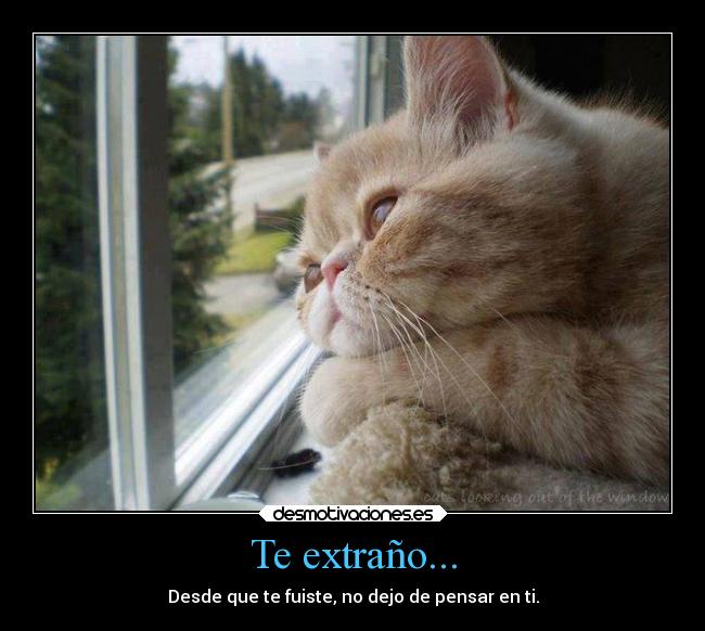 Te extraño... - 