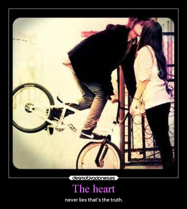 The heart -