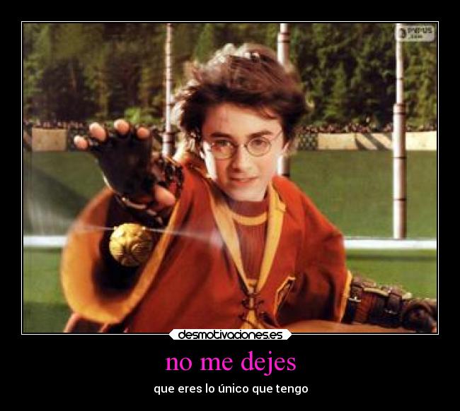 no me dejes - que eres lo único que tengo