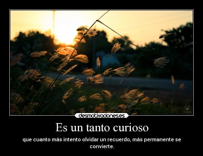 Es un tanto curioso - que cuanto más intento olvidar un recuerdo, más permanente se
convierte.