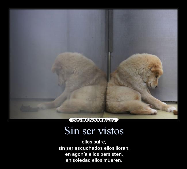 carteles amor desmotivaciones