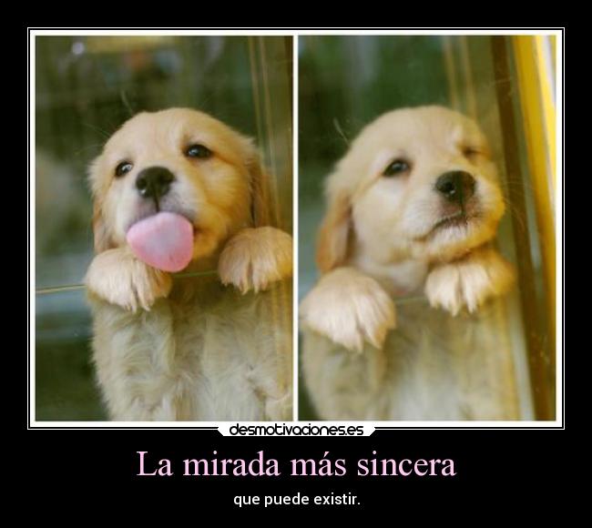 La mirada más sincera - 