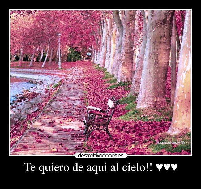 carteles amor desmotivaciones