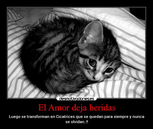 El Amor deja heridas - Luego se transforman en Cicatrices que se quedan para siempre y nunca
se olvidan..!!