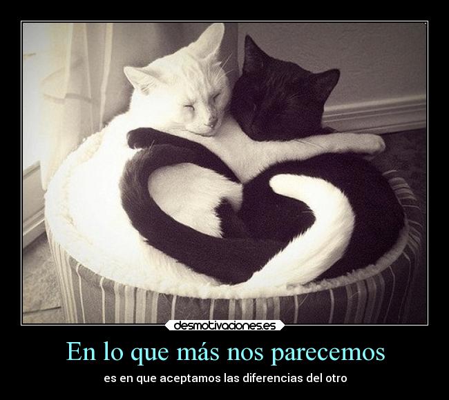 En lo que más nos parecemos -