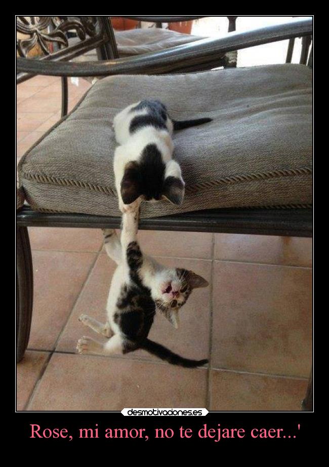 Rose, mi amor, no te dejare caer... - 