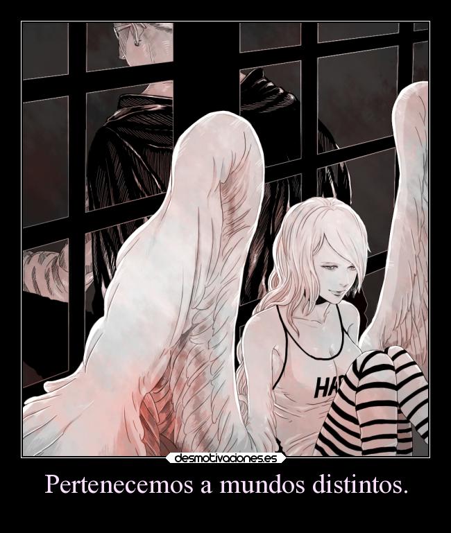 Pertenecemos a mundos distintos. - 