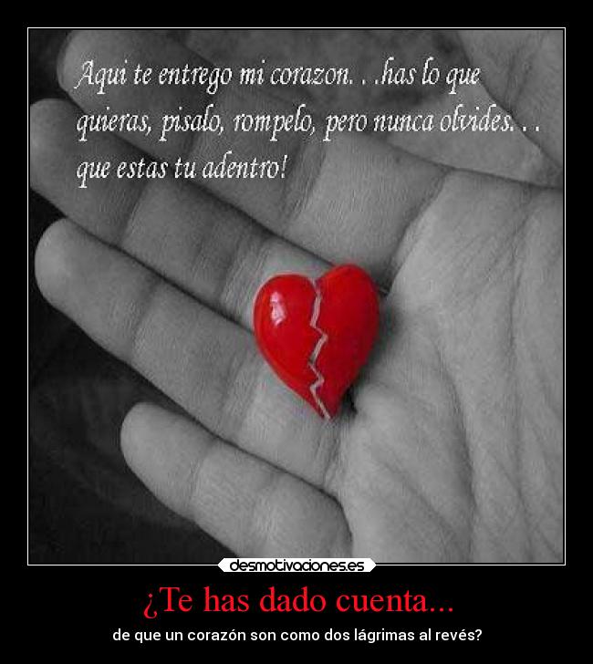 carteles amor lagrimas desmotivaciones