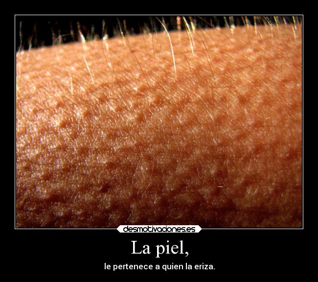 La piel, - 