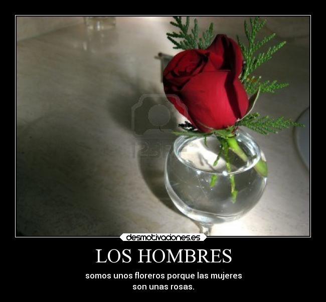 LOS HOMBRES - somos unos floreros porque las mujeres
son unas rosas.