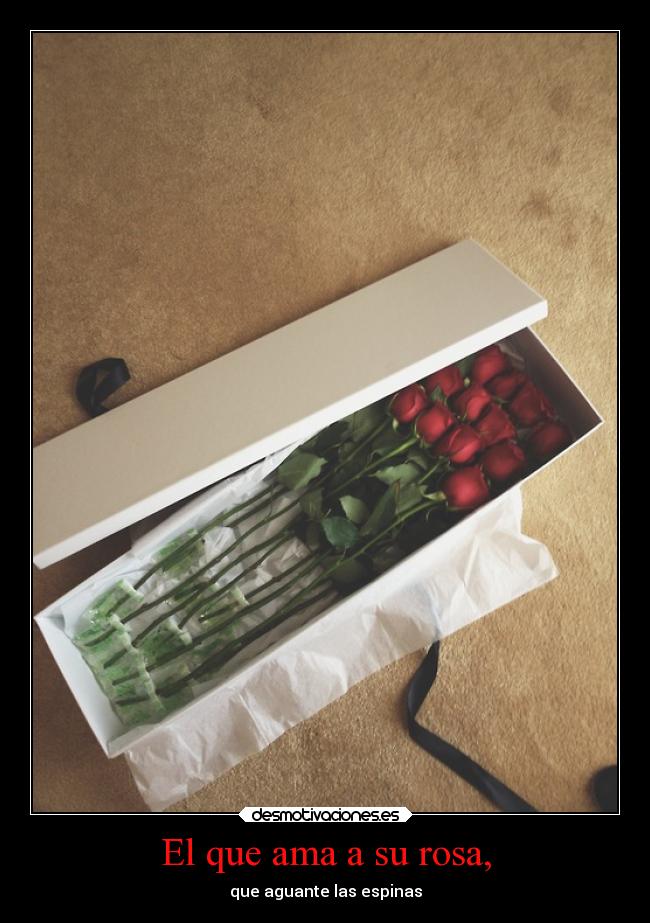 El que ama a su rosa, - que aguante las espinas