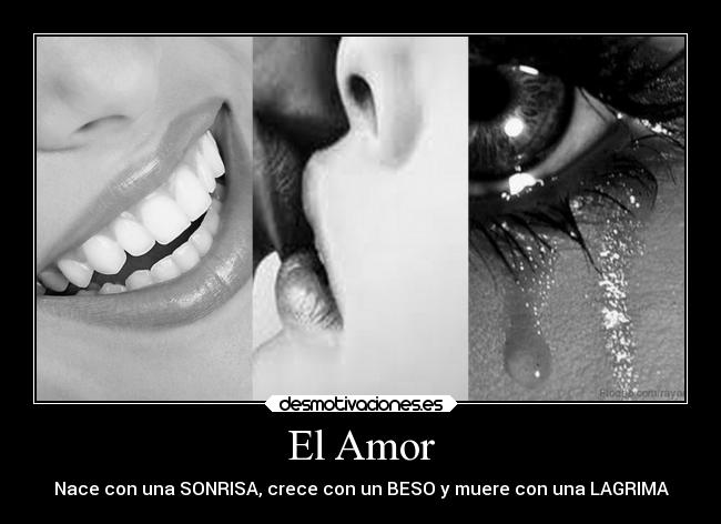El Amor - 