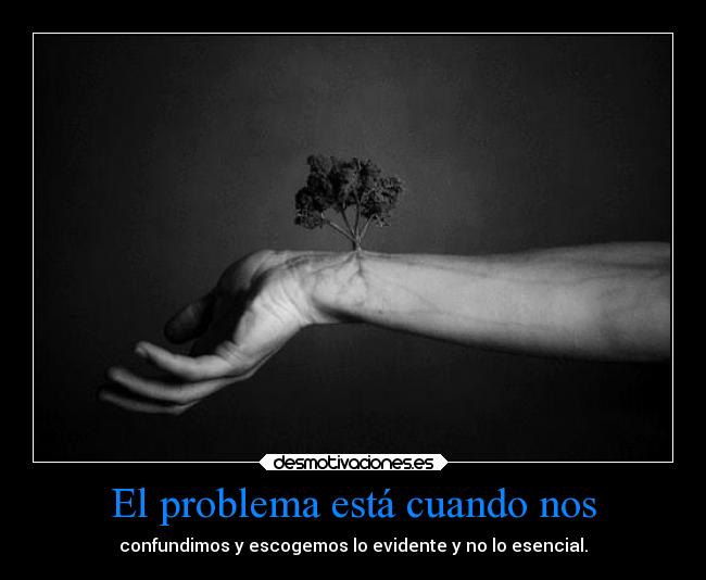 El problema está cuando nos -