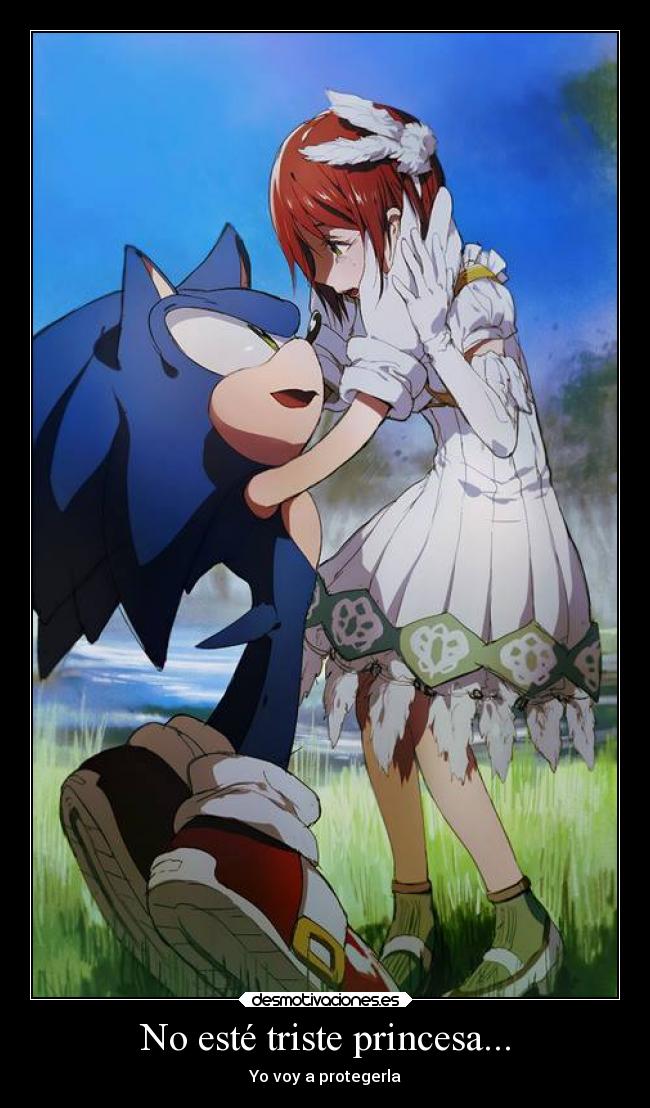 carteles amor sonic princesa elise protecion desmotivaciones