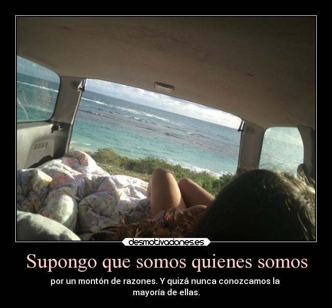 carteles amor supongo que somos desmotivaciones