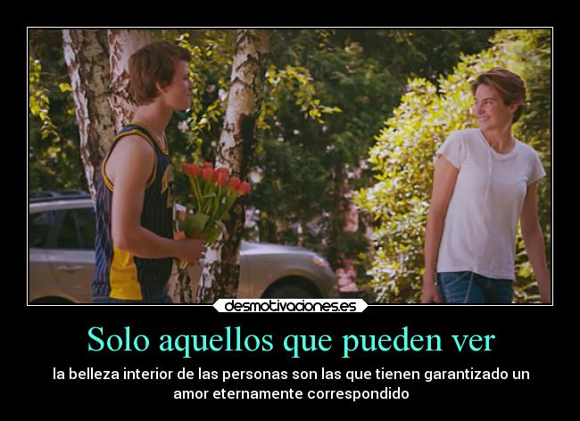 carteles amor the fault our stars theuglytruth desmotivaciones