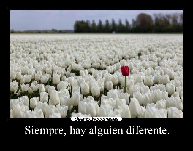 Siempre, hay alguien diferente. - 