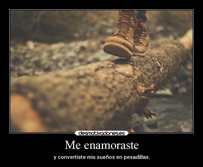 Me enamoraste - y convertiste mis sueños en pesadillas.