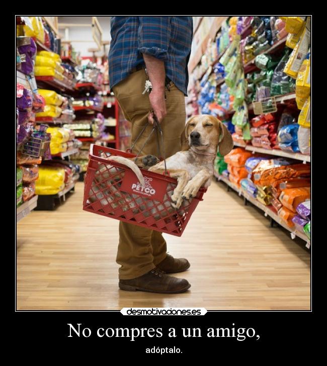 No compres a un amigo, - 