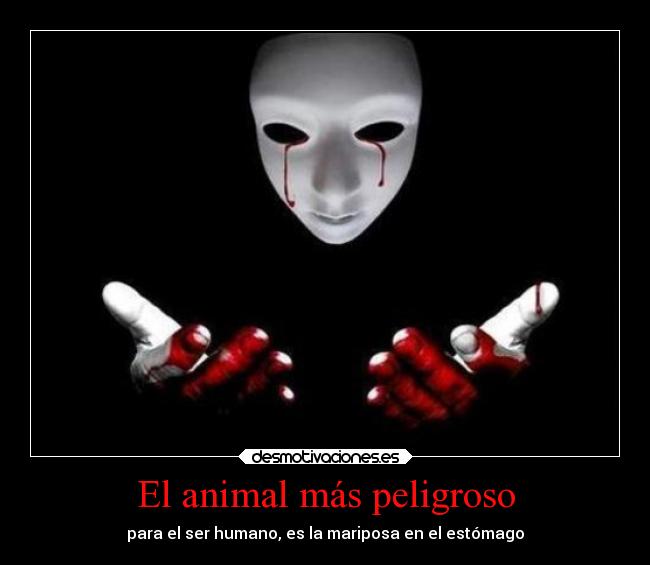 El animal más peligroso - para el ser humano, es la mariposa en el estómago