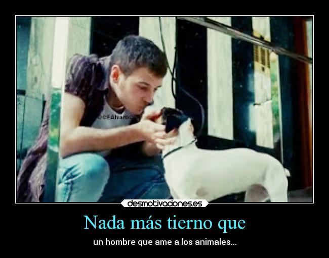 carteles animales amor dulzura amo los tiernos con desmotivaciones