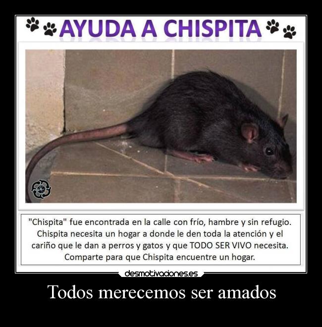 Todos merecemos ser amados - 