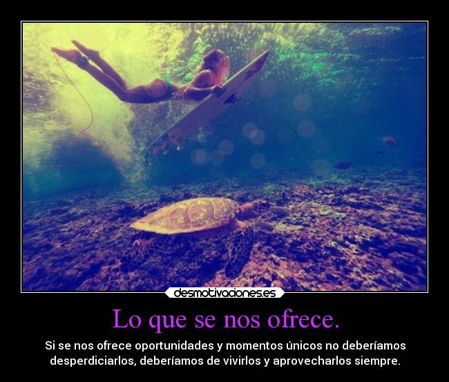 Lo que se nos ofrece. -