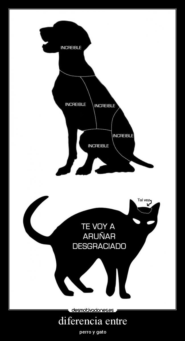 diferencia entre - perro y gato