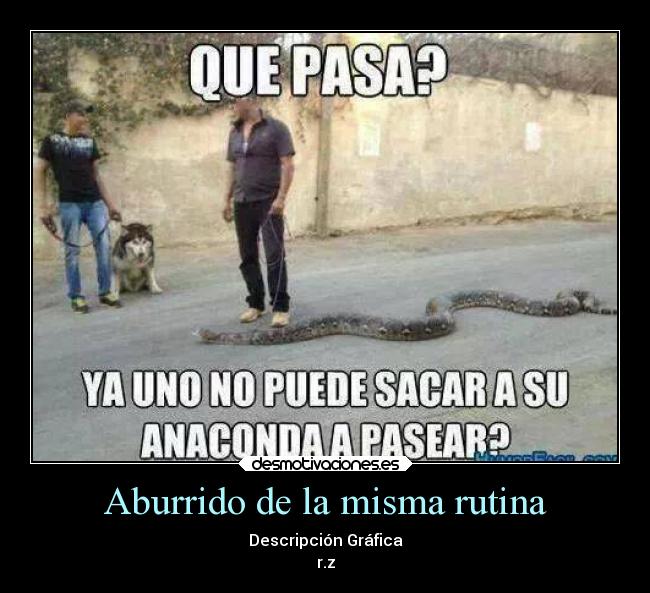 Aburrido de la misma rutina - Descripción Gráfica
r.z