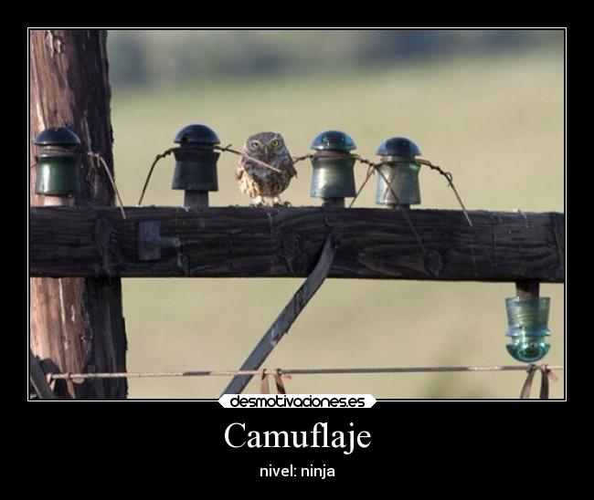 Camuflaje - 