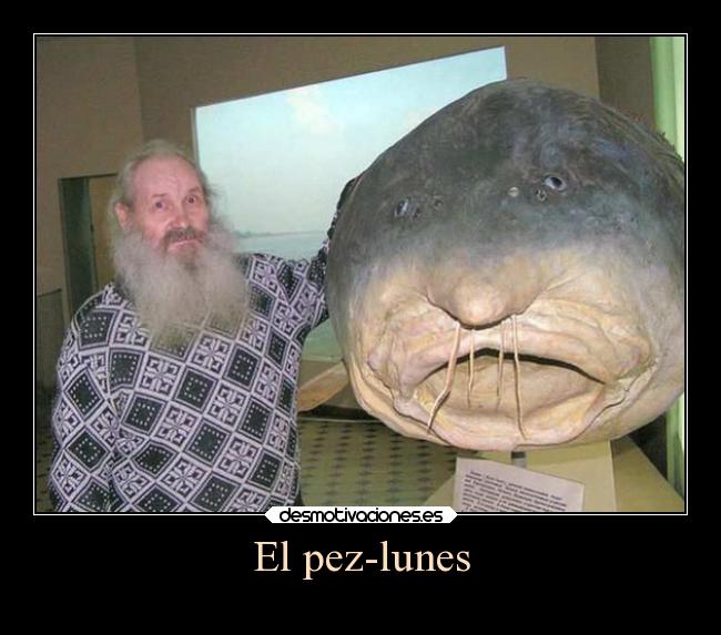 El pez-lunes -