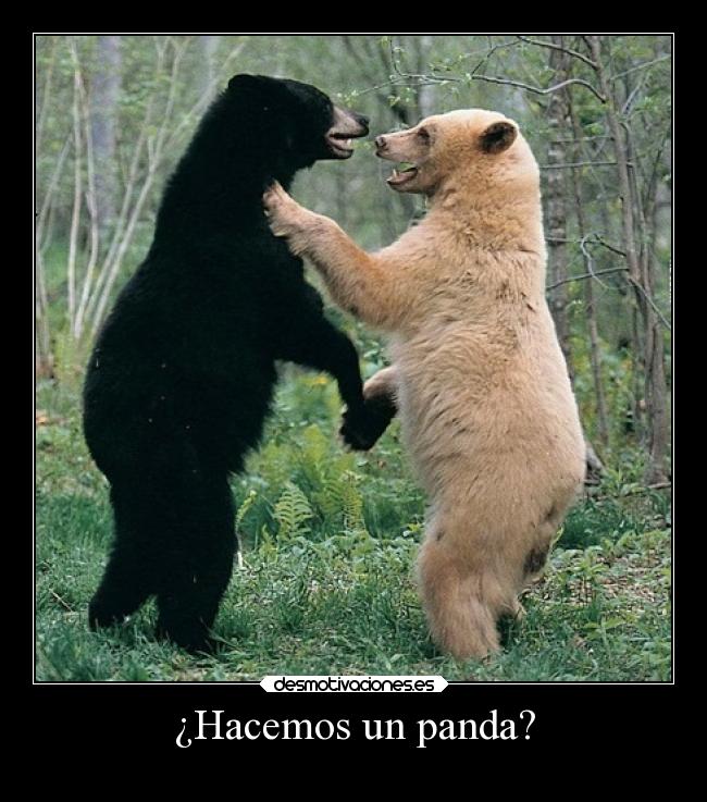 ¿Hacemos un panda? -