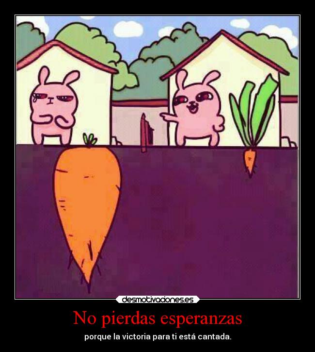 No pierdas esperanzas -