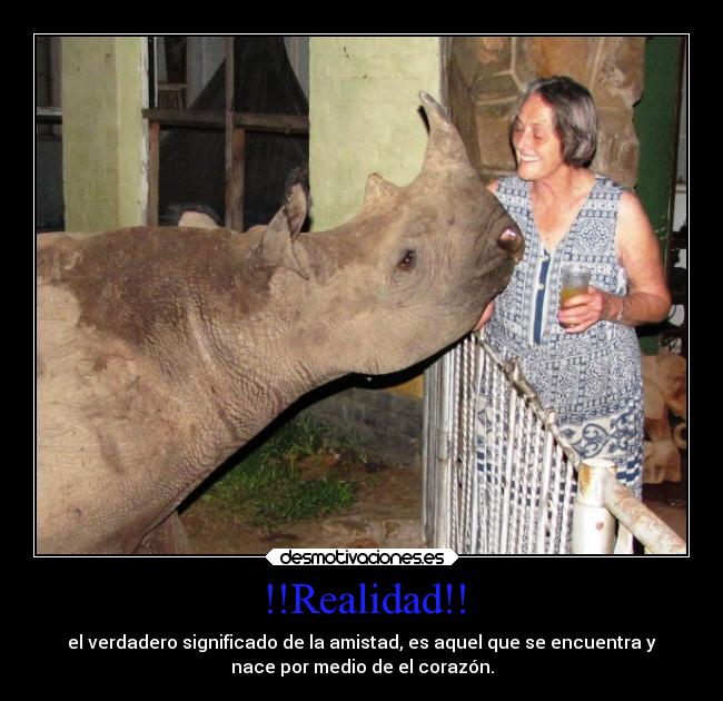 !!Realidad!! - el verdadero significado de la amistad, es aquel que se encuentra y
nace por medio de el corazón.