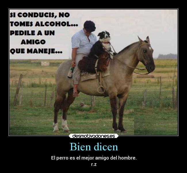 Bien dicen - El perro es el mejor amigo del hombre.
r.z
