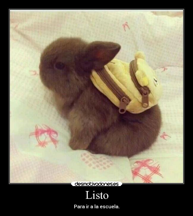 Listo - 