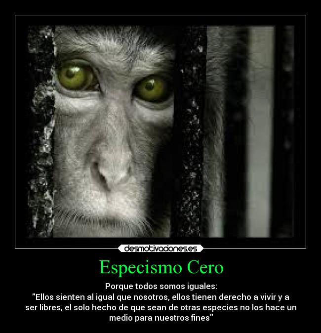 Especismo Cero - Porque todos somos iguales:
Ellos sienten al igual que nosotros, ellos tienen derecho a vivir y a
ser libres, el solo hecho de que sean de otras especies no los hace un
medio para nuestros fines