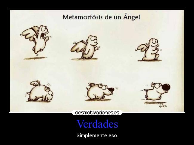 animales