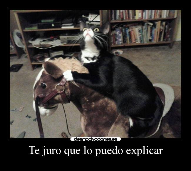 Te juro que lo puedo explicar - 