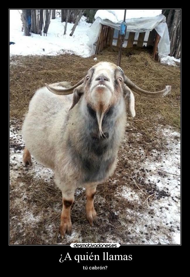 ¿A quién llamas -
