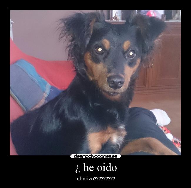 ¿ he oido - chorizo?????????